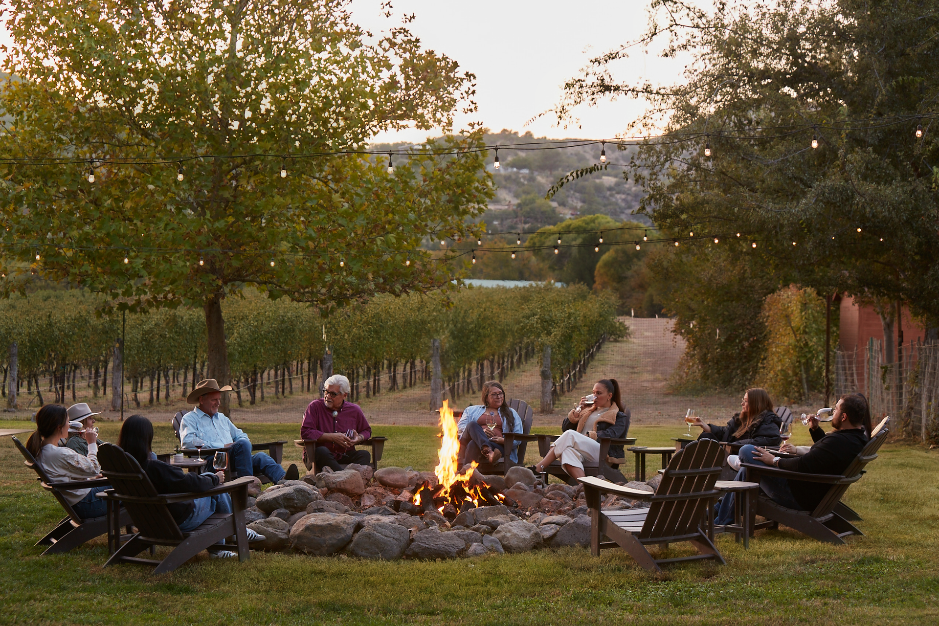 People around a fire pit at a vineyard, with a backdrop of grapevines and string lights.