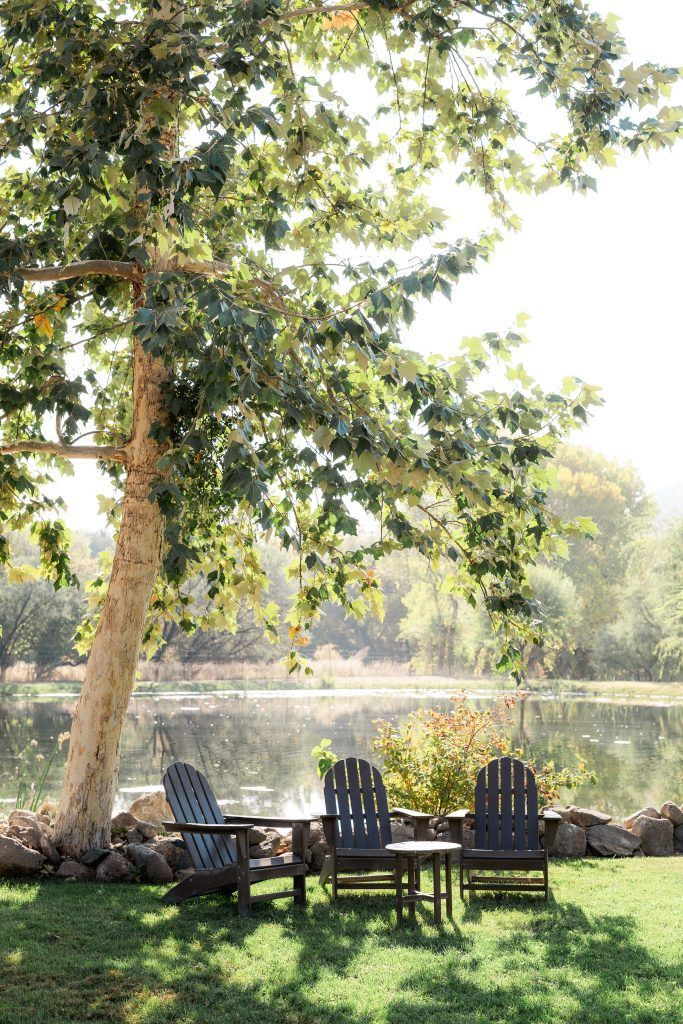 Three Adirondack chairs sit on a grassy bank beneath a tree, overlooking a lake.