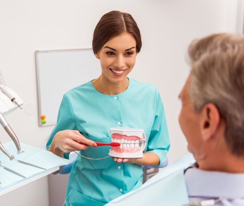 Dentist Showing a Dental Model to a Patient in a Bright Clinic — Smiles On Hobart in Sorell, TAS