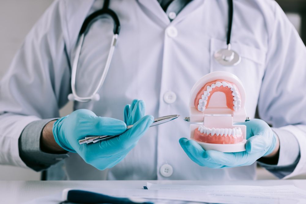 Dentist in White Coat and Blue Gloves Holding a Dental Model and Syringe in a Clinic — Smiles On Hobart in Glenorchy, TAS