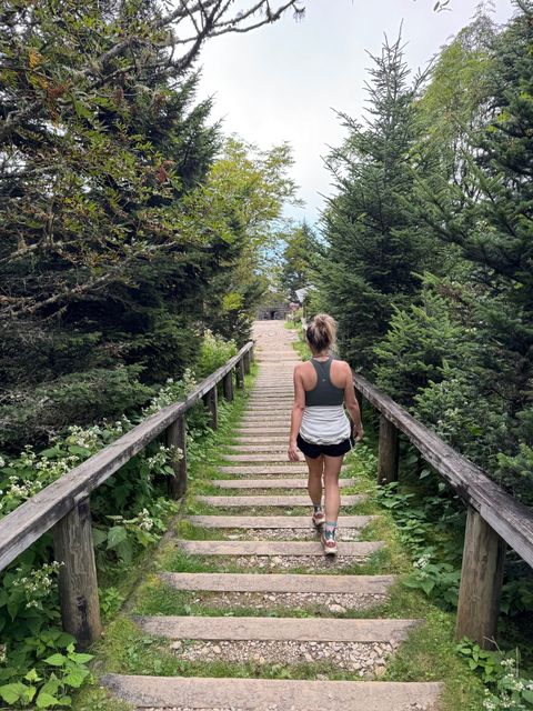 Person walking up a stone stair path between wooden railings and green trees