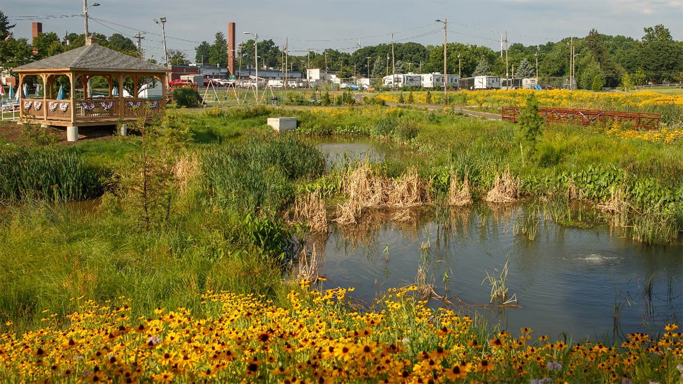 constructed wetland, philadelphia