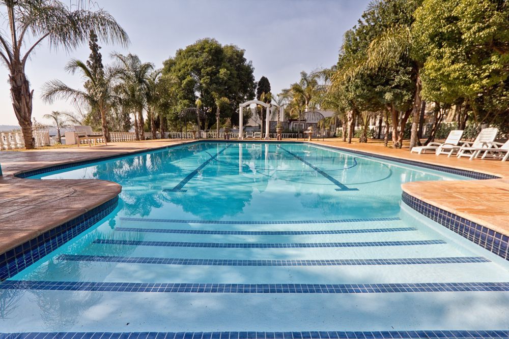 Outdoor swimming pool with clear blue water, palm trees, and lounge chairs under a bright sky