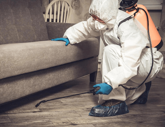 A man in a protective suit is spraying a couch with a sprayer.