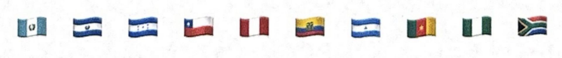 A row of small international flags displayed horizontally on a light background.