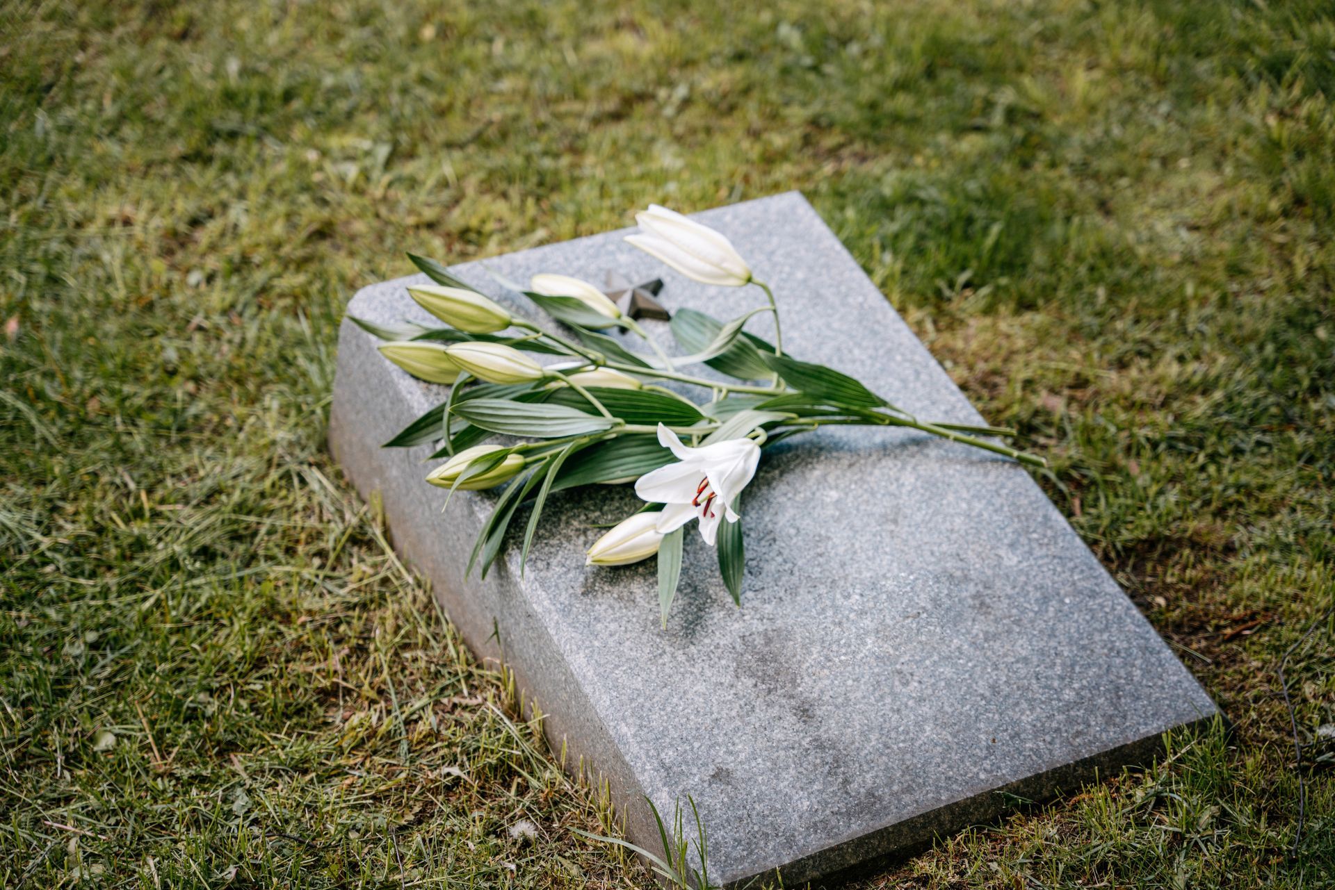 Green burials