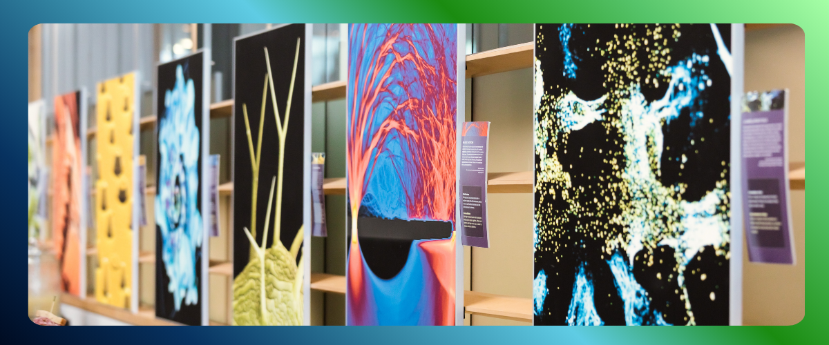 Brain Health Innovation Fund