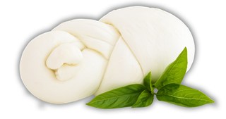 mozzarella