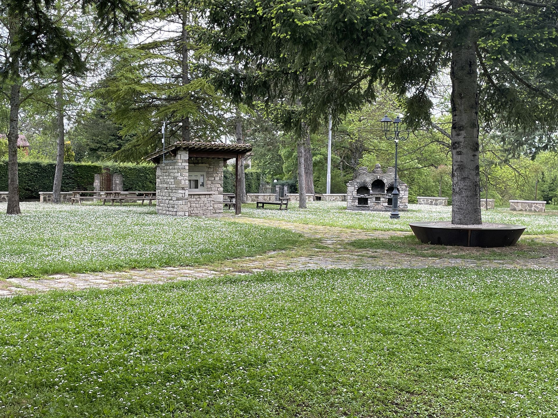 area pin-nic
