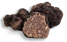 tartufo