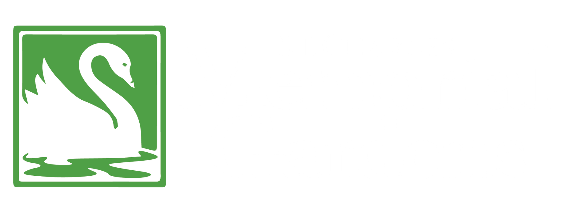 logo-image