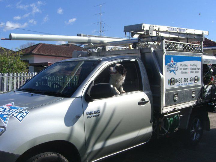 Silver Plumber's Truck With a Black and White Dog in the Driver's Seat — All Stars Plumbing In Albion Park, NSW