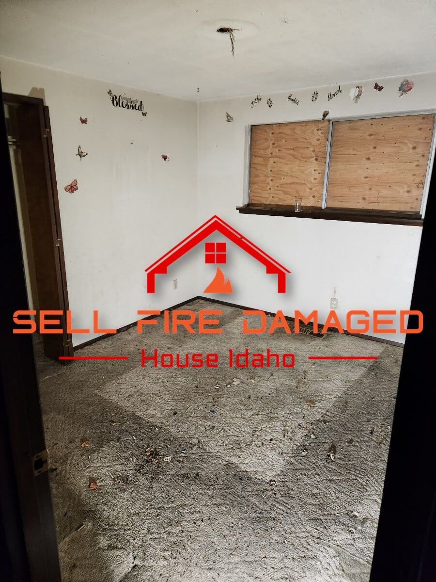 Initial Damage Assessment and Cleanup In Idaho