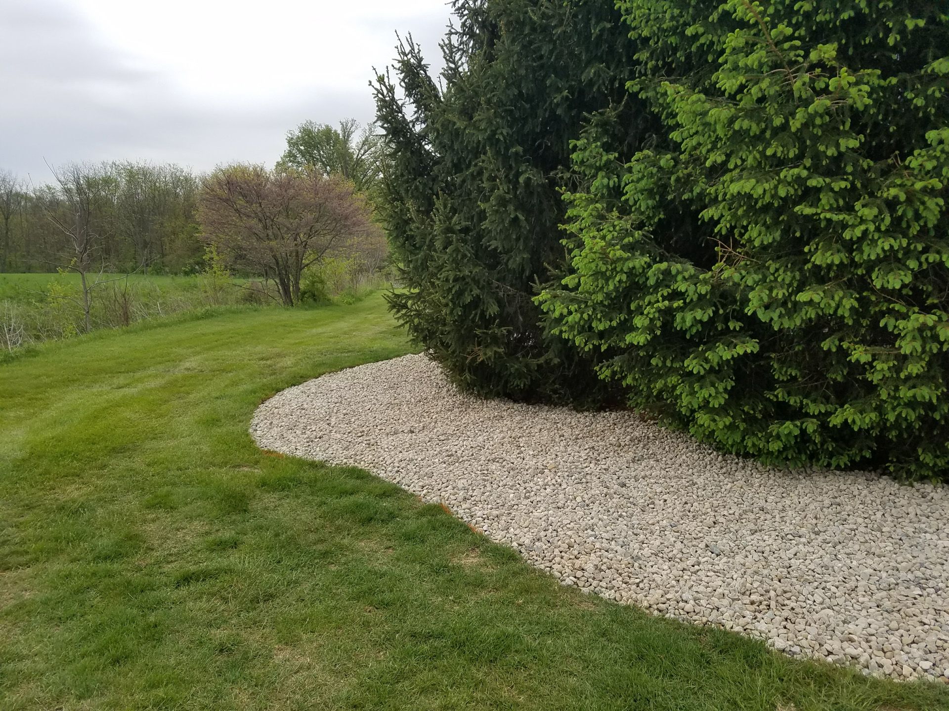 A lush green lawn with a gravel border and trees in the background.