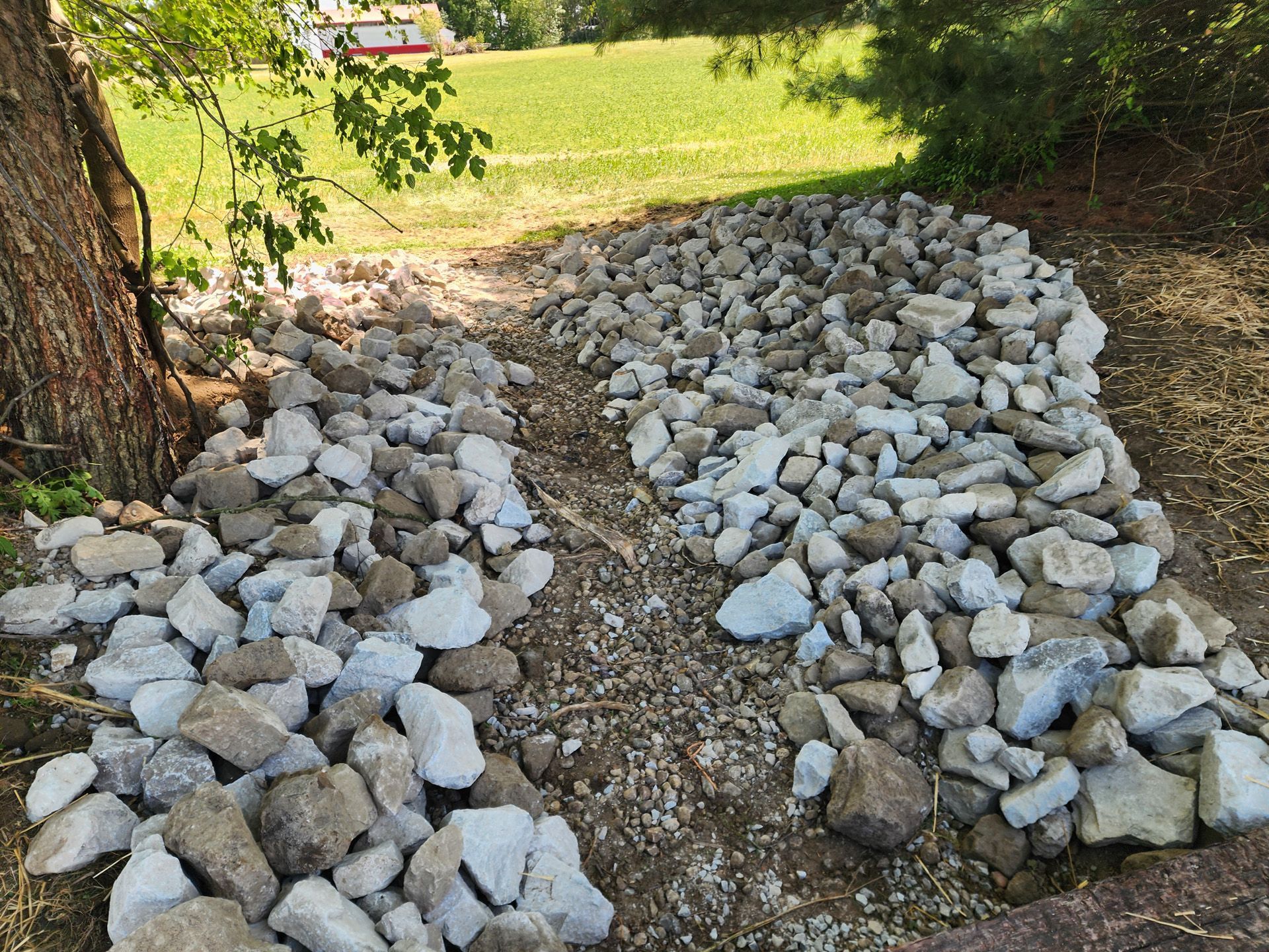 A pile of rocks is sitting next to a tree.