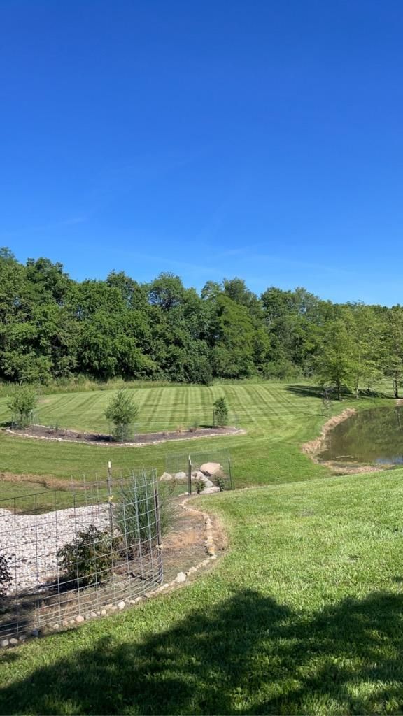 A view of a lush green field with trees in the background on a sunny day.