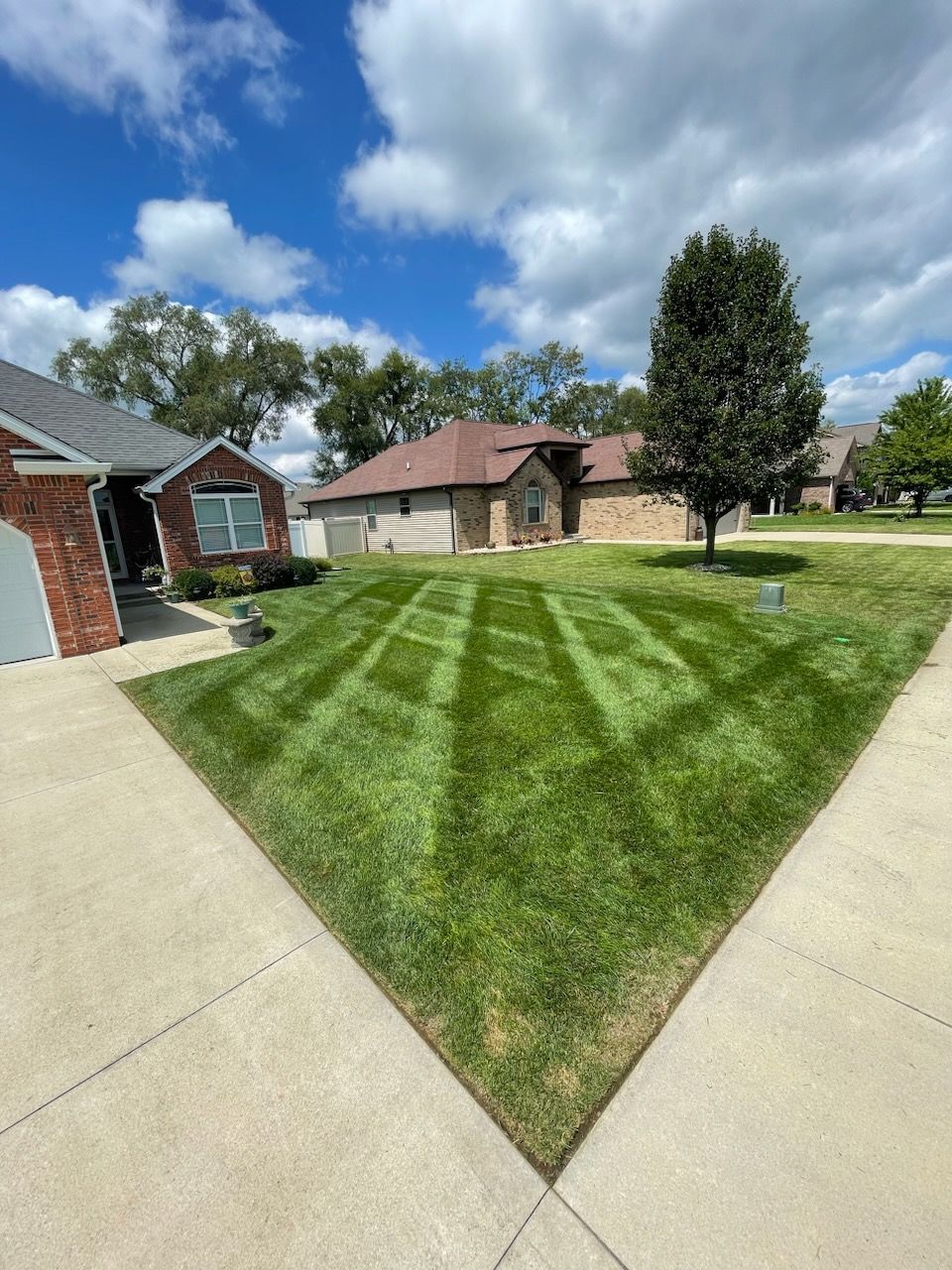 A lush green lawn is sitting next to a sidewalk in front of a house.