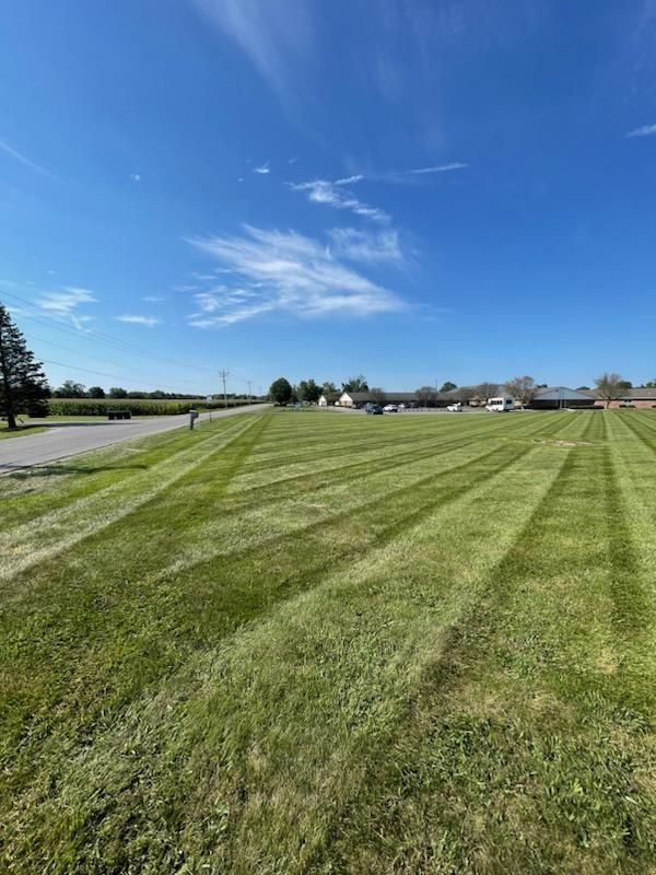 A lush green field of grass with a blue sky in the background.