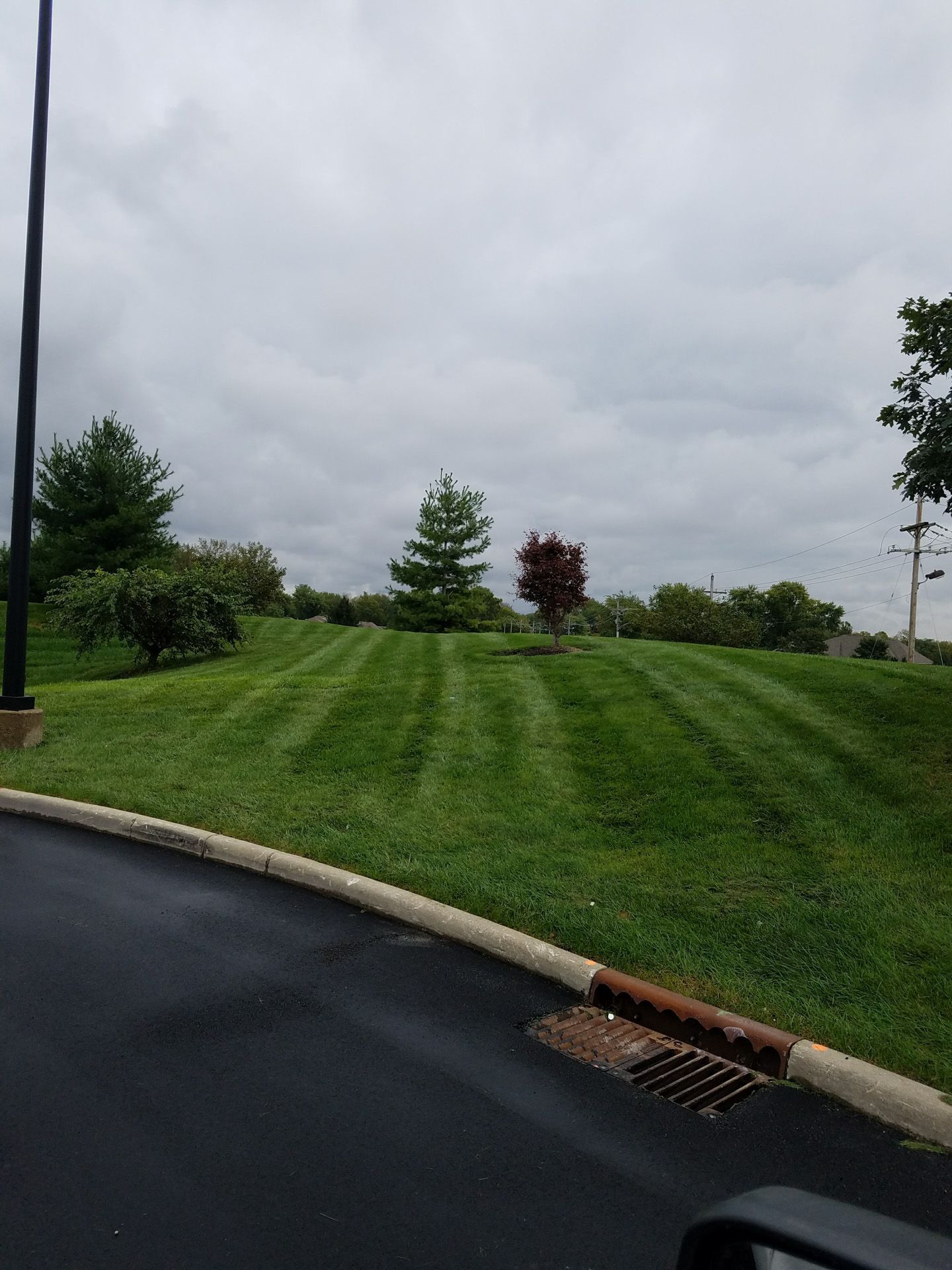 A car is driving down a road next to a lush green lawn.