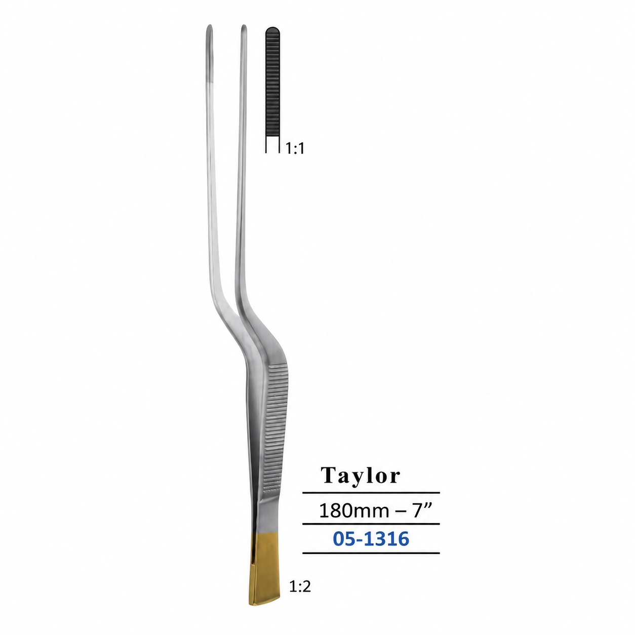TAYLOR