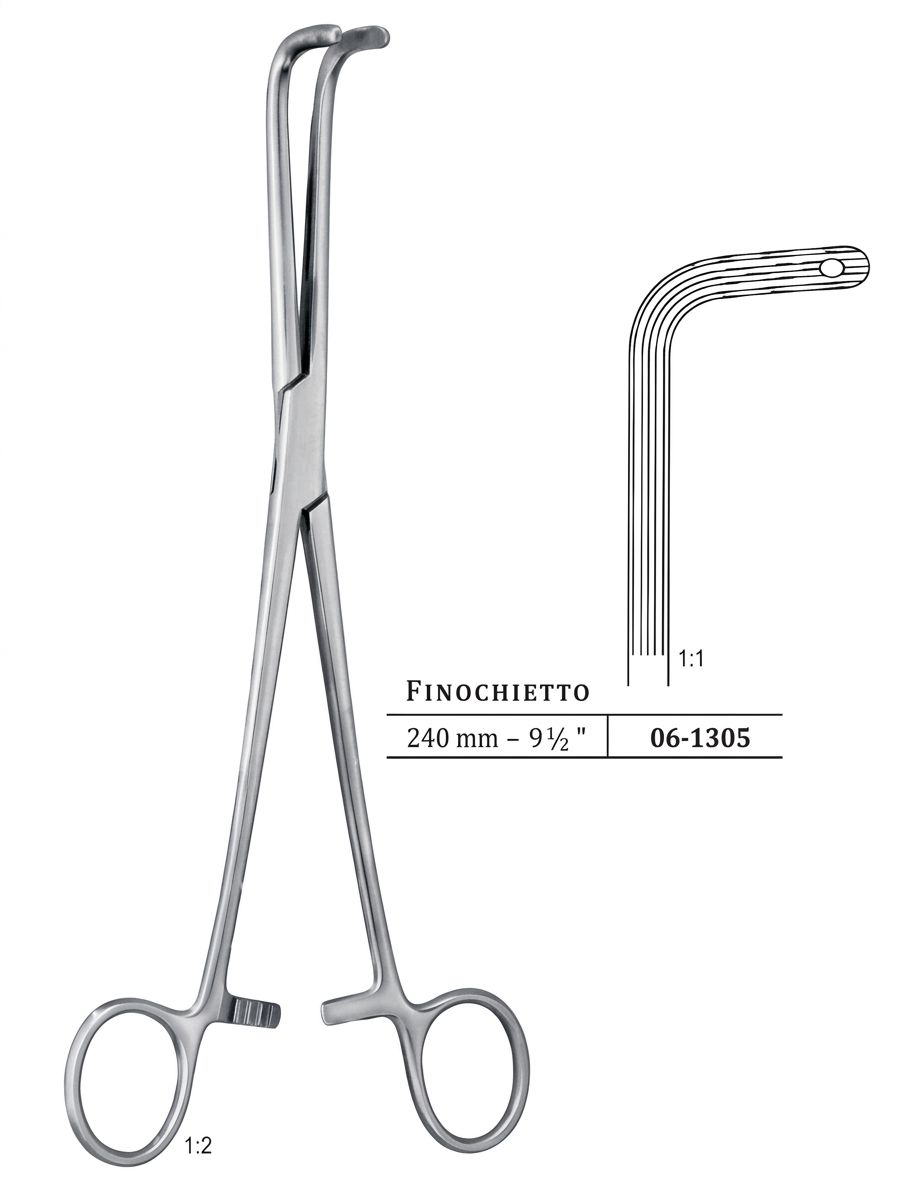 FINOCHIETTO