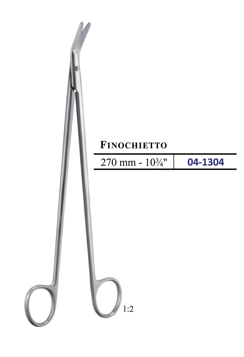 FINOCHIETTO