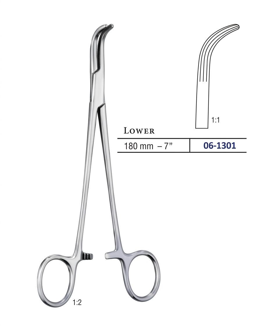 LOWER