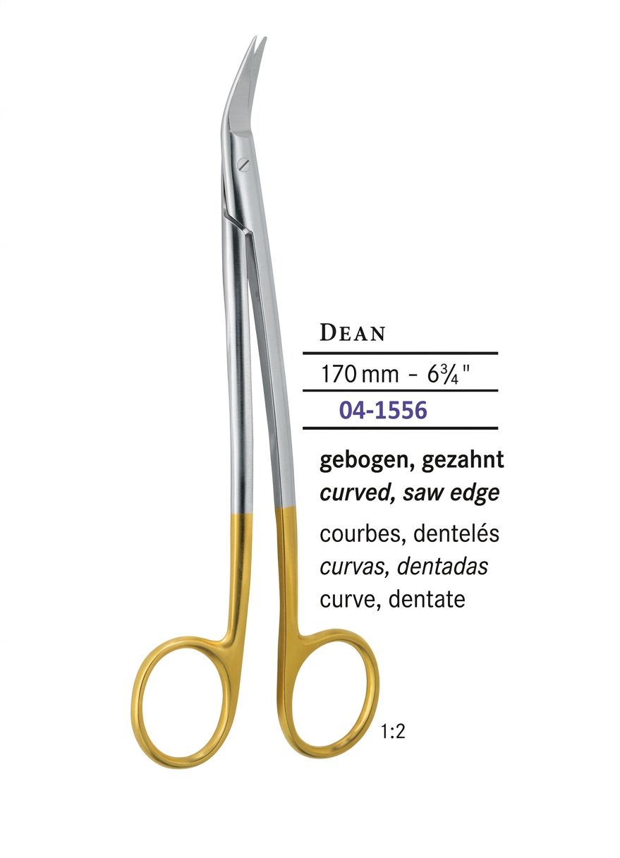 DEAN