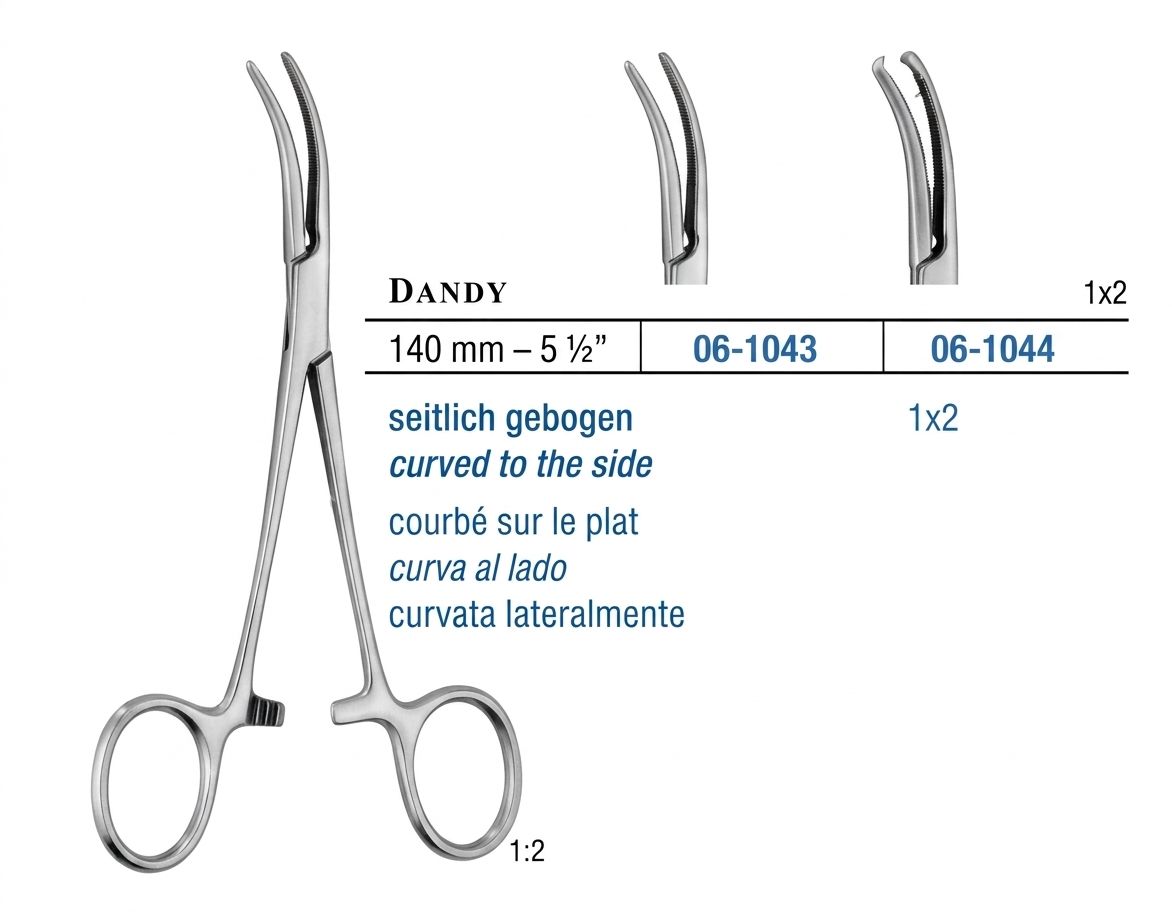 DANDY