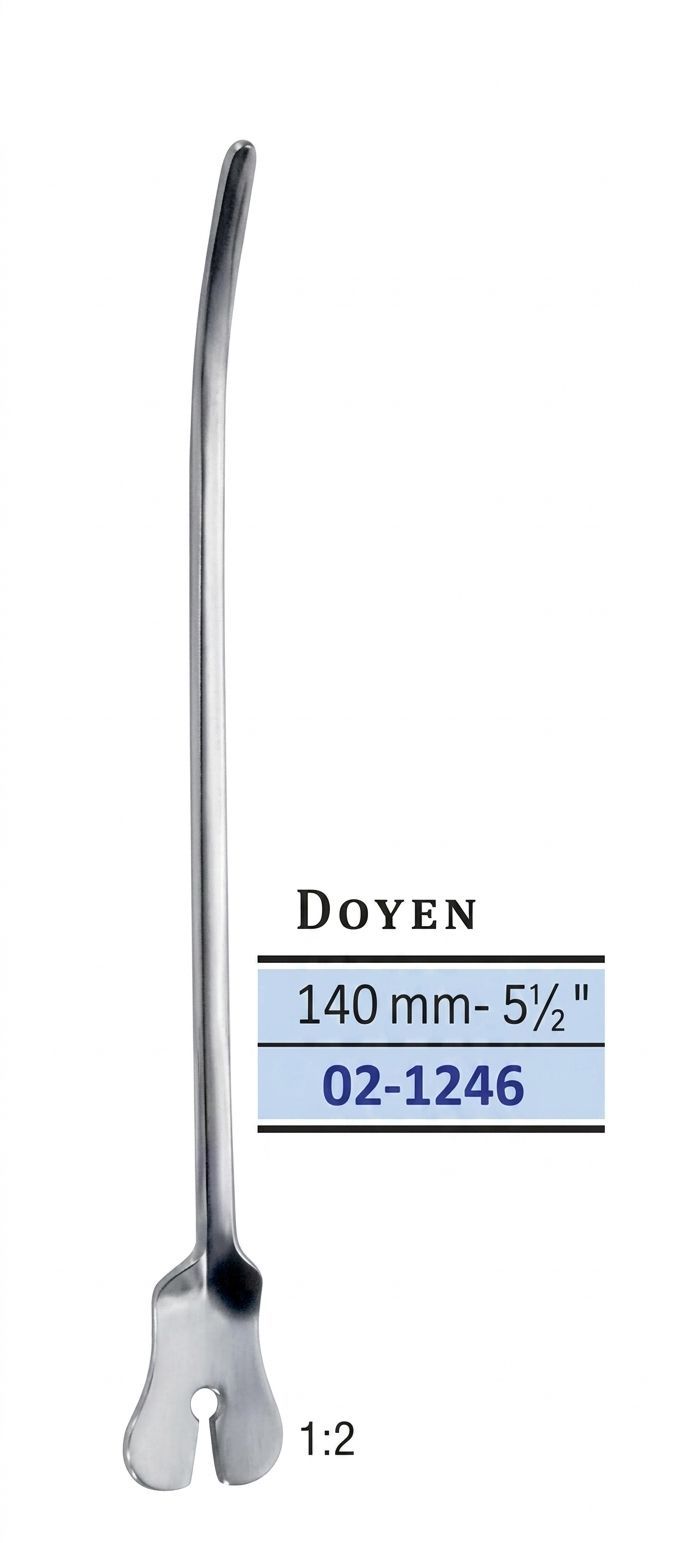 DOYEN