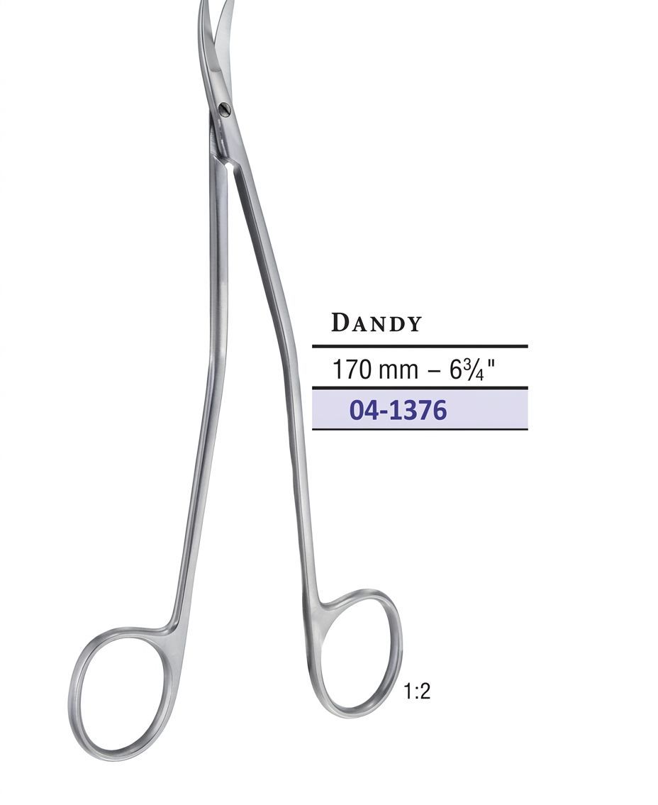 DANDY