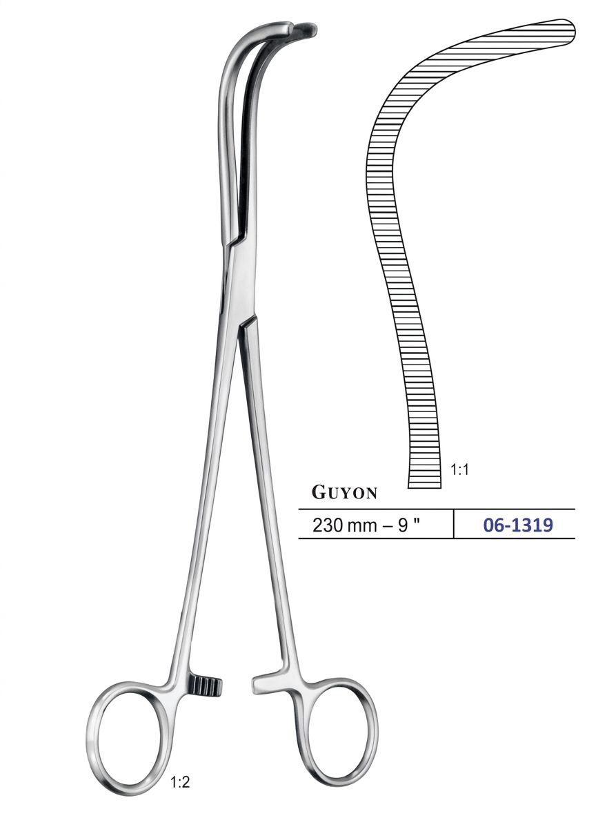 GUYON