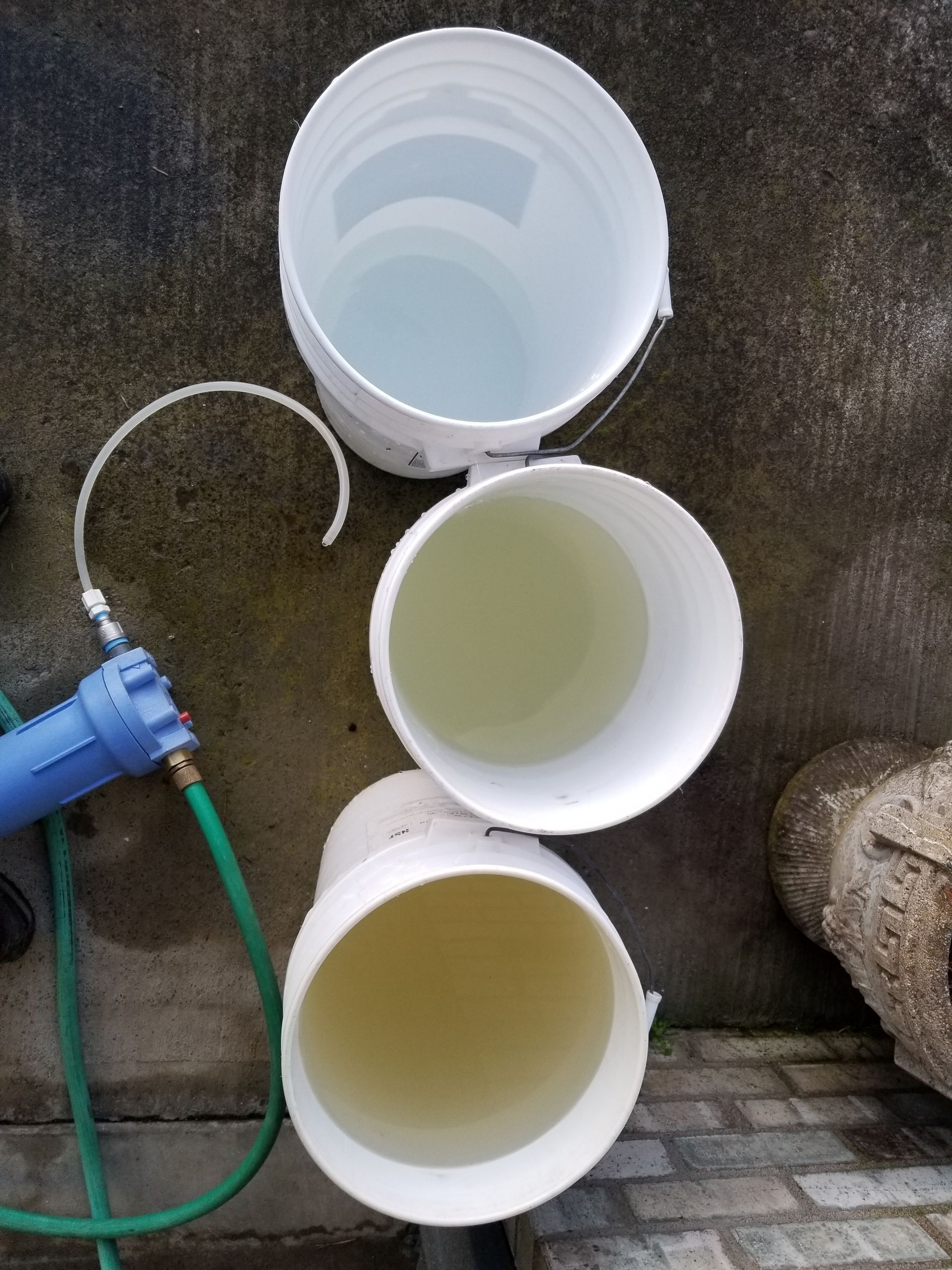 Three white buckets filled with water on pavement beside a hose and stone wall.
