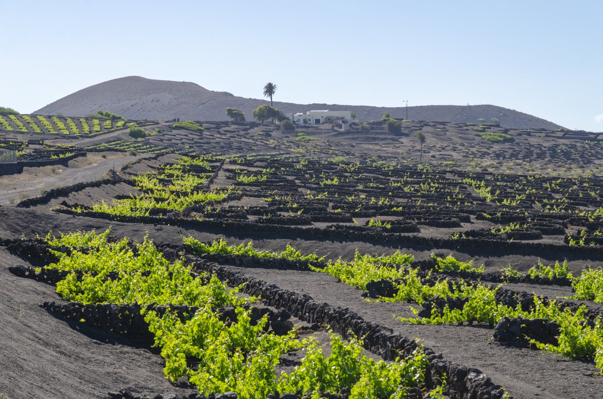 Tourist-accommodation-VillaCanaima-the-go-to-stay-apartments-puertodelcarme-Lanzarote-good-value-for-money