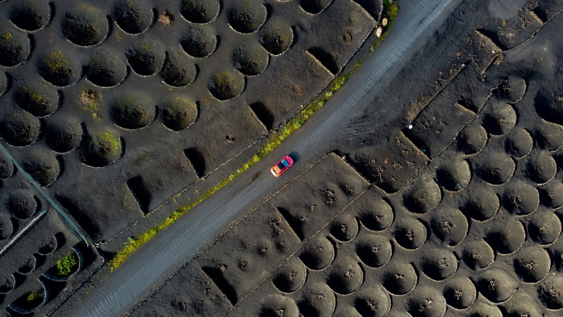 Lanzarote-LaGeria-farming-holes-vineyards-awesome