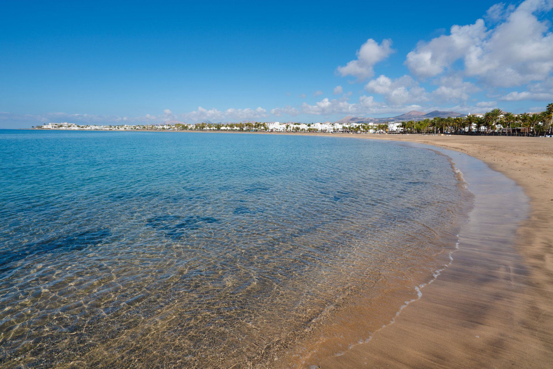 Lanzarote-playa-delos-Pocillos