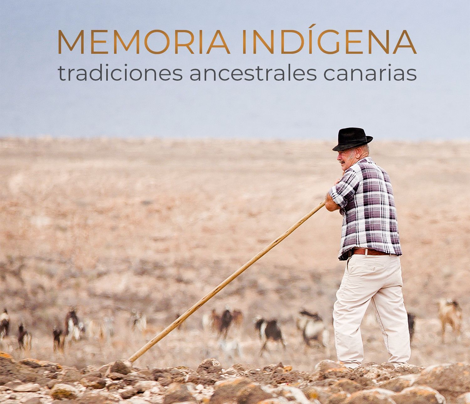 Memroria Indigena