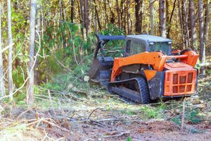 Orange-and-black tracked forestry machine in a wooded area, with trees and cut branches around it.