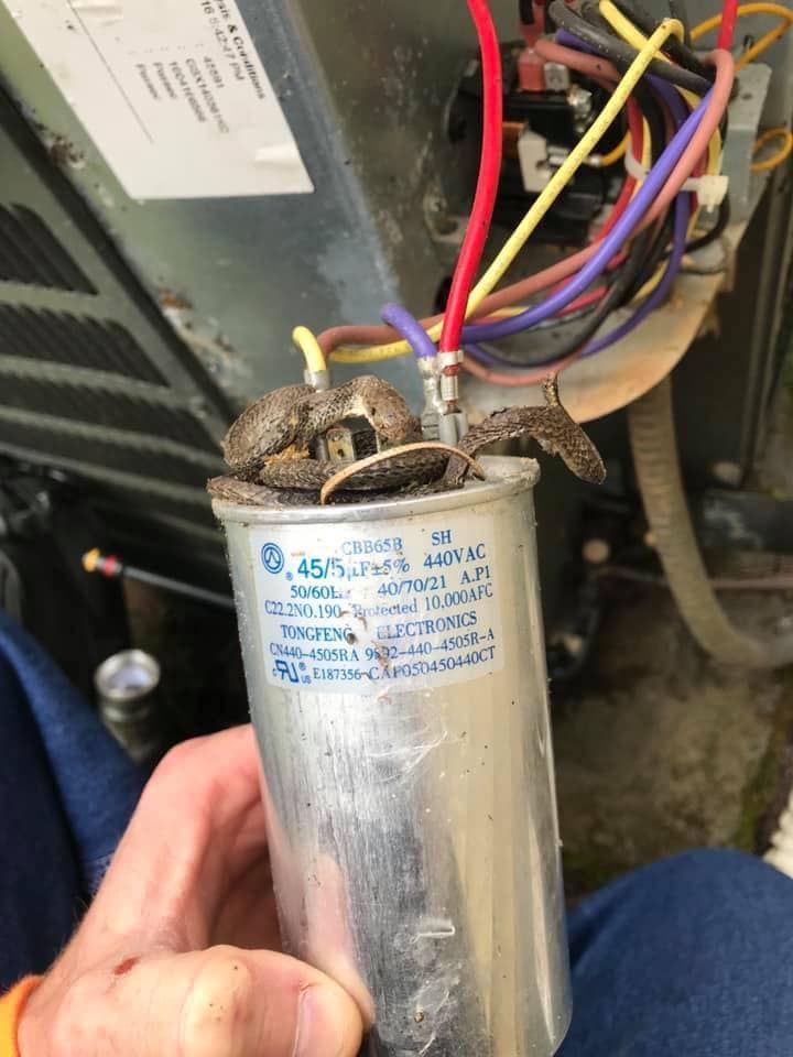A hand holding a failed, bulging HVAC capacitor with a rusted top, disconnected from an outdoor air conditioning unit.