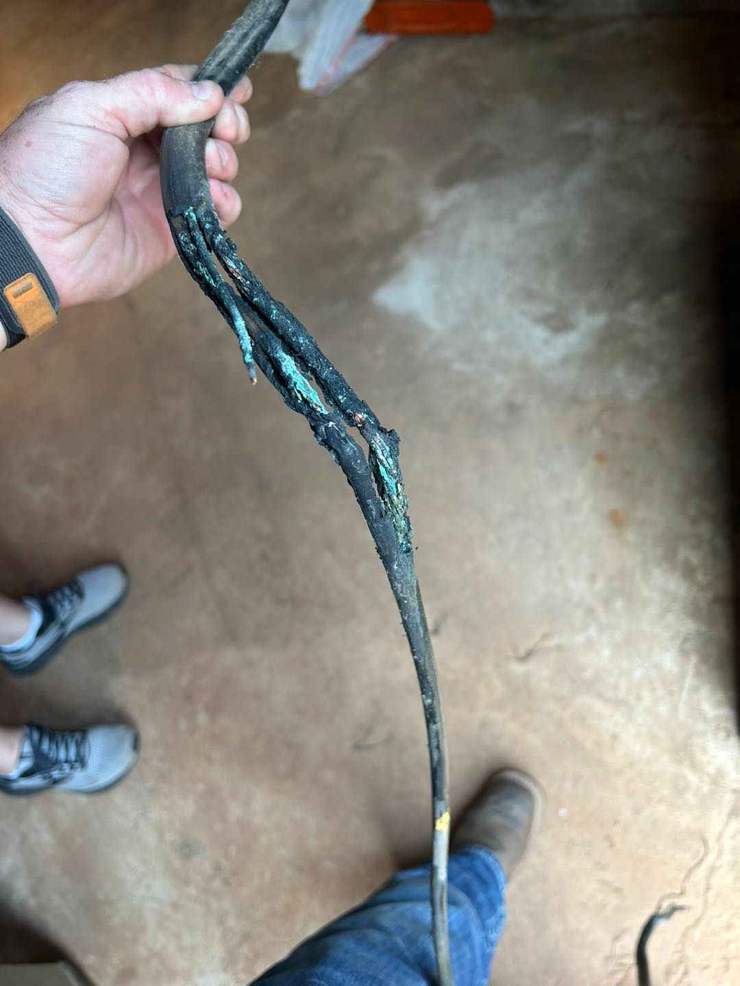 A person holding a damaged black electrical cord with melted insulation and exposed copper wiring.