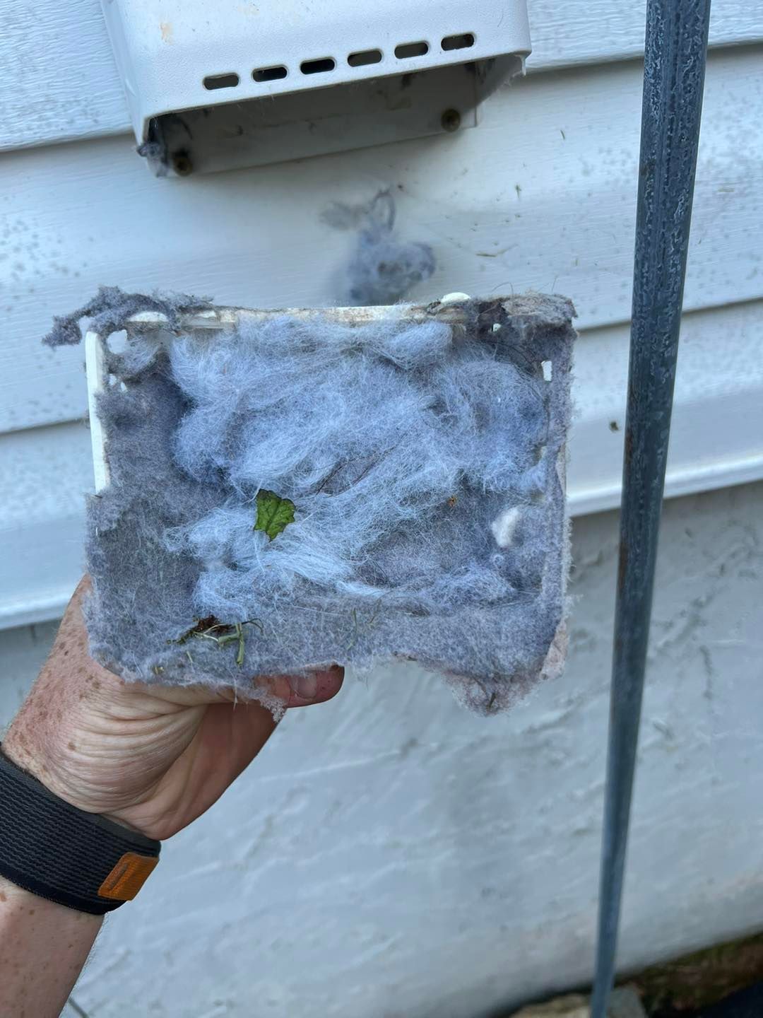A hand holds a plastic dryer vent cover completely clogged with thick, gray lint, with more debris on the wall behind it.