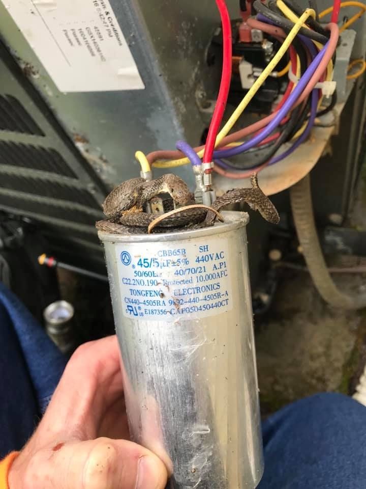 A hand holding a failed, bulging metal HVAC capacitor with electrical wires attached, next to an outdoor AC unit.