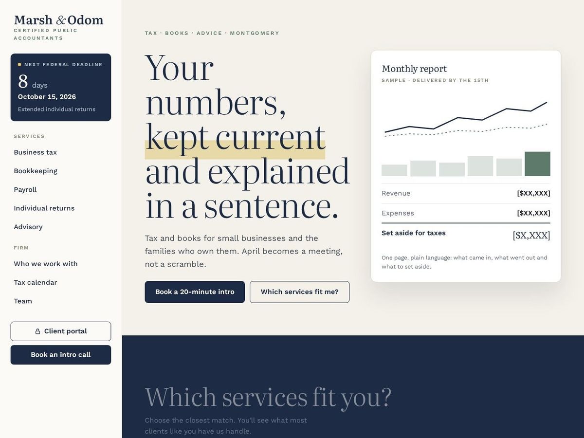 Ledger demo site home page for Professional Services