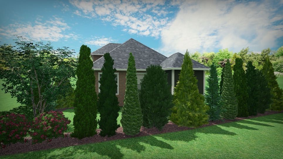 Mulching services Louisville