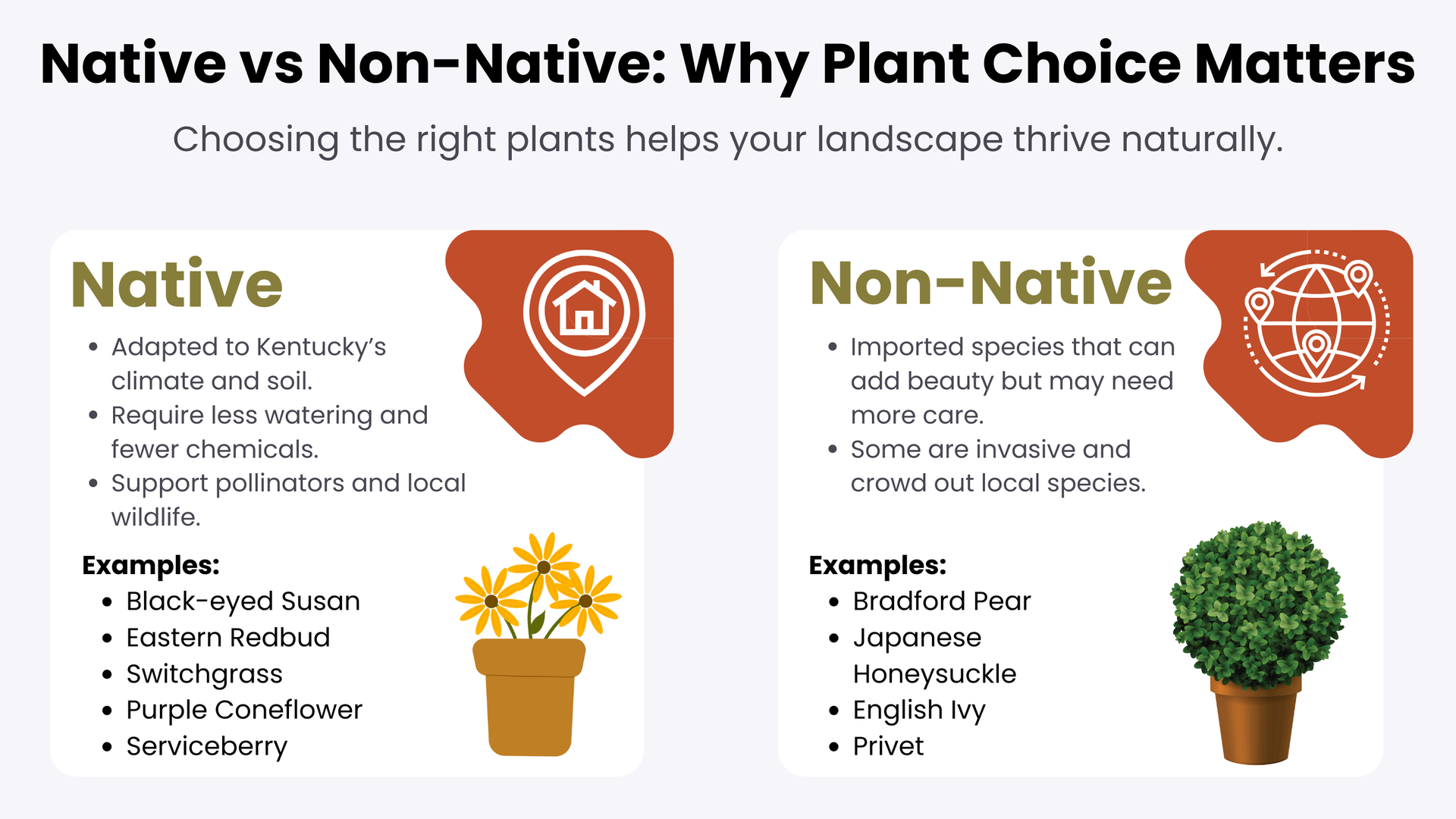 Comparison of native and non-native plants with examples.