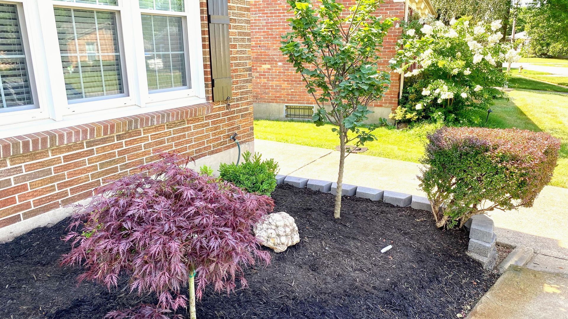 Front yard landscaping with a small tree, shrubs, white flowers, and mulch beside a brick house.
