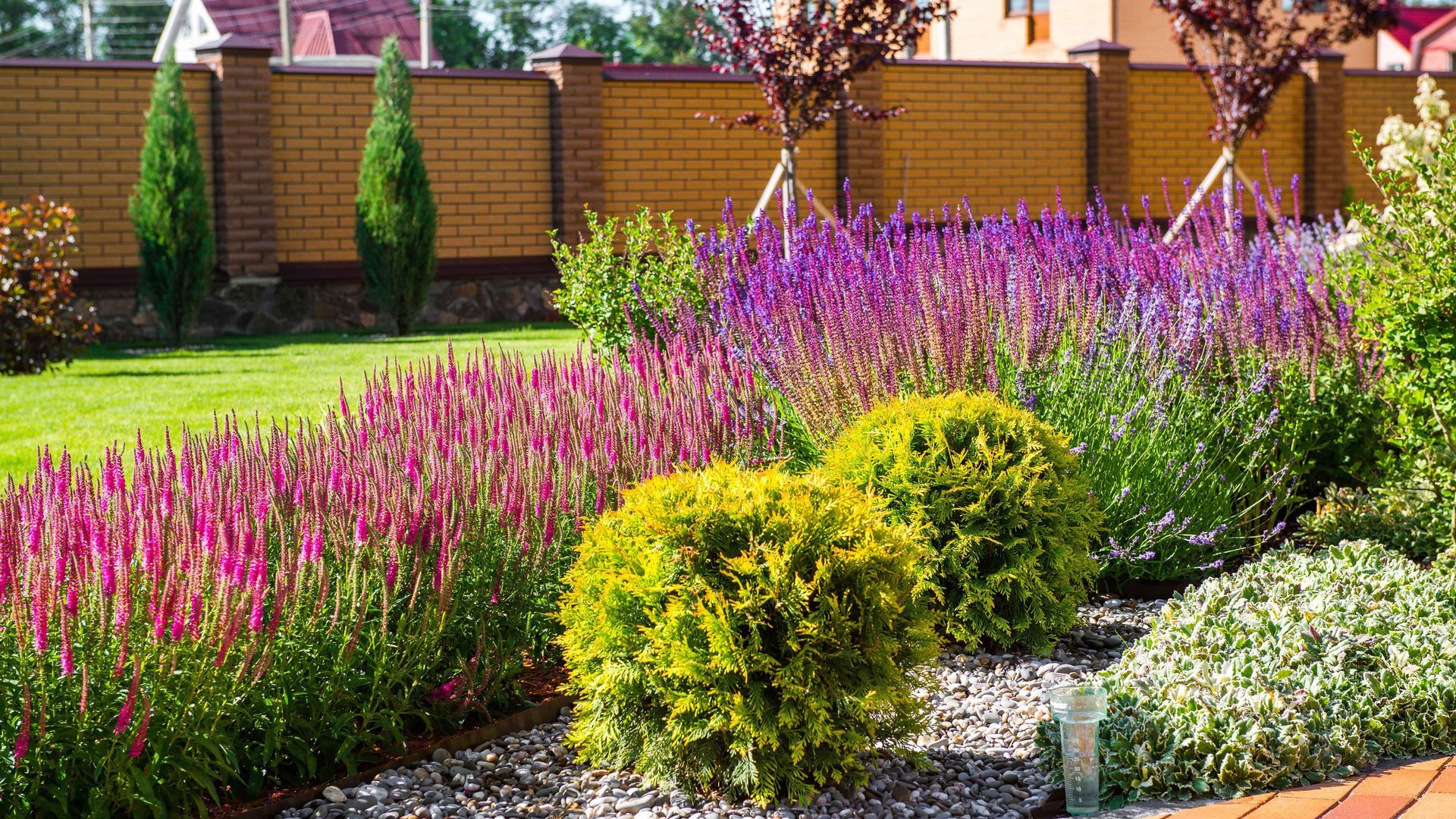 Garden bed with vibrant pink and purple flowering plants, rounded green bushes, and a brick fence.