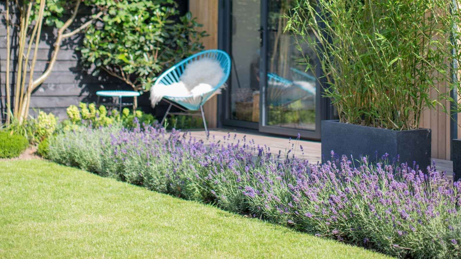 A vibrant garden with lavender lining the edge of a green lawn, a blue chair, and tall plants by a glass door.