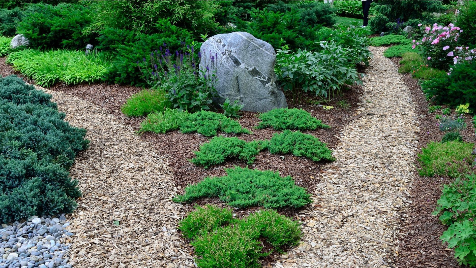 Seasonal lawn maintenance services