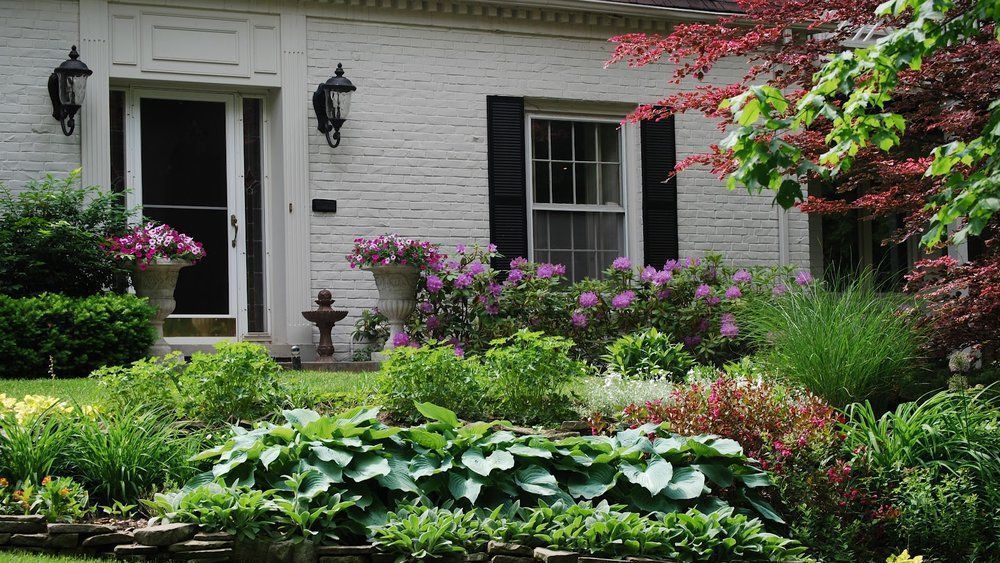White brick house with a lush garden, featuring pink flowers, green plants, and a red-leaved tree.
